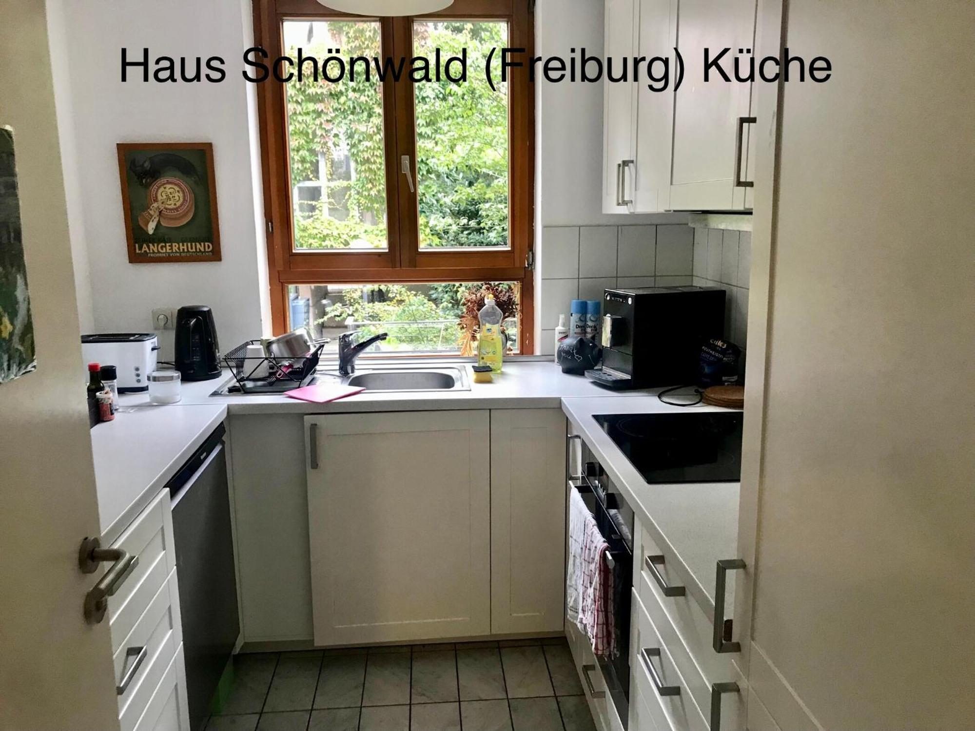 Haus Schoenwald Freiburg im Breisgau Exterior photo